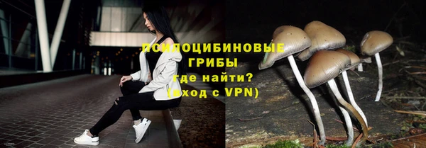 винт Новодвинск