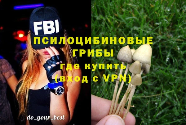 винт Новодвинск