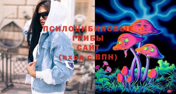 каннабис Новозыбков