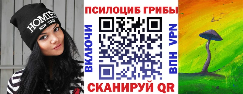Псилоцибиновые грибы мухоморы darknet состав Алатырь как найти закладки