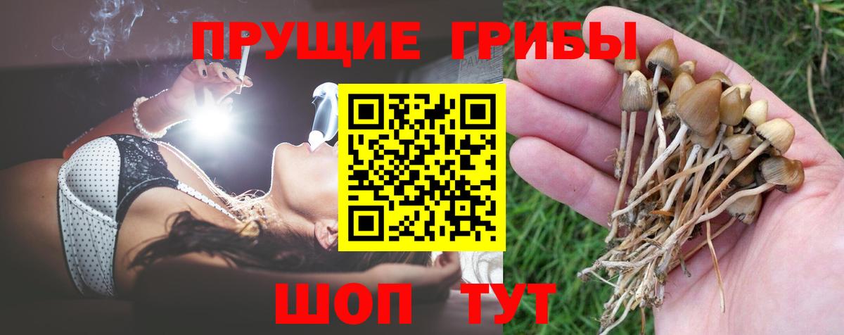 Псилоцибиновые грибы Magic Shrooms Алатырь